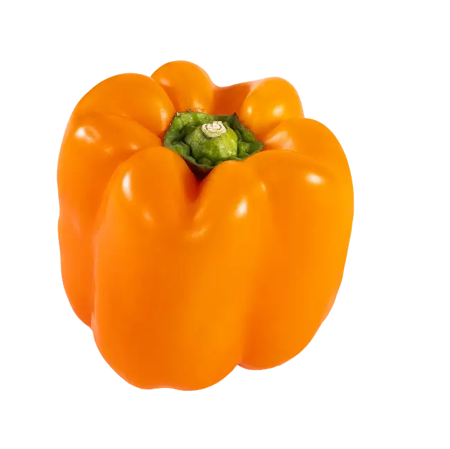 Orange Bell Pepper